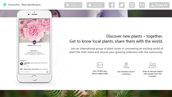 picturethis app per riconoscere piante e fiori