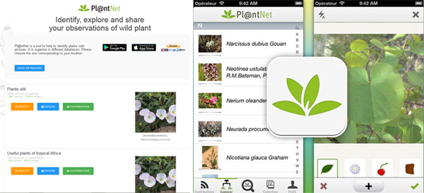 plantnet app per riconoscere piante e fiori